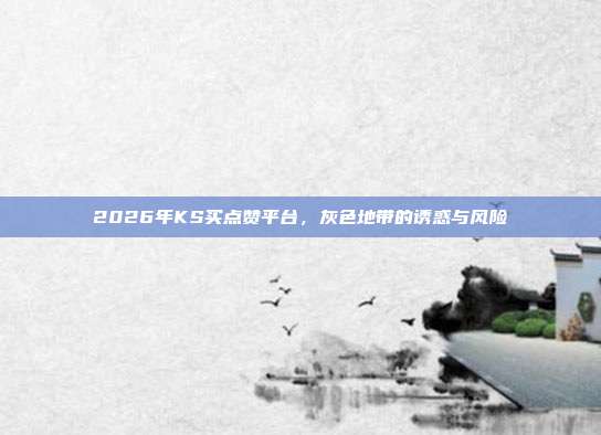 2026年KS买点赞平台,灰色地带的诱惑与风险