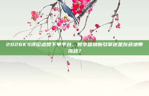 2026KS评论点赞下单平台,数字营销新引擎还是灰色地带挑战?
