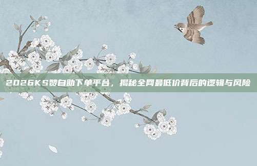 2026KS赞自助下单平台,揭秘全网最低价背后的逻辑与风险