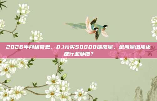 2026年网络奇观，0.1元买50000播放量，是流量泡沫还是行业颠覆？