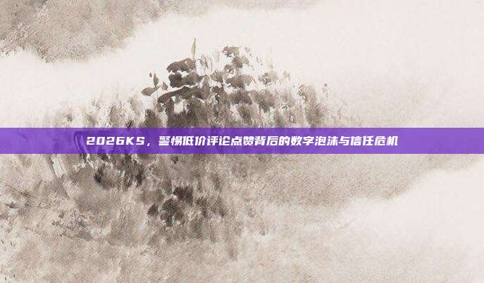 2026KS，警惕低价评论点赞背后的数字泡沫与信任危机