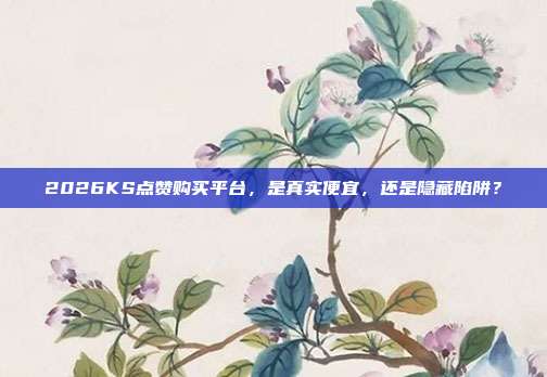 2026KS点赞购买平台,是真实便宜,还是隐藏陷阱?