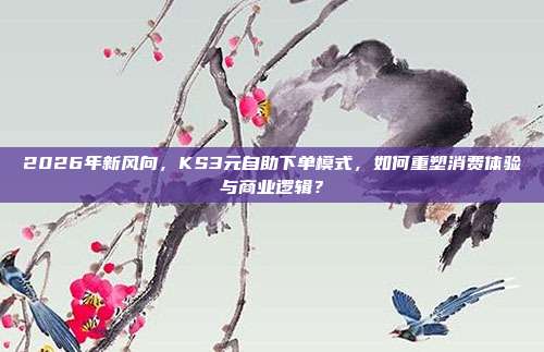 2026年新风向,KS3元自助下单模式,如何重塑消费体验与商业逻辑?