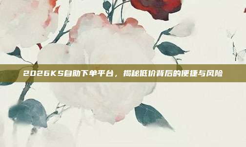 2026KS自助下单平台，揭秘低价背后的便捷与风险
