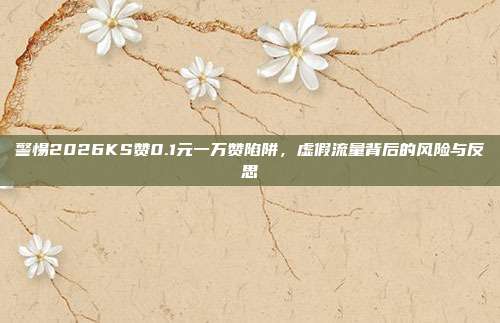 警惕2026KS赞0.1元一万赞陷阱,虚假流量背后的风险与反思