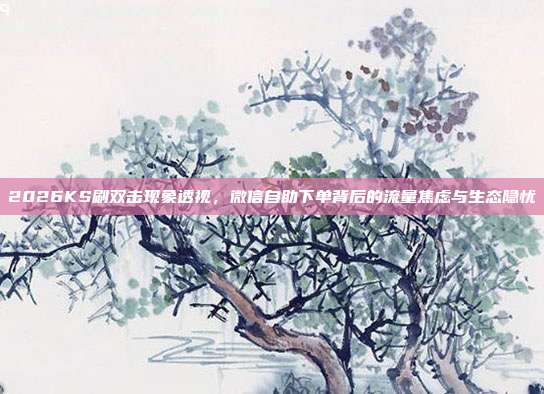 2026KS刷双击现象透视,微信自助下单背后的流量焦虑与生态隐忧