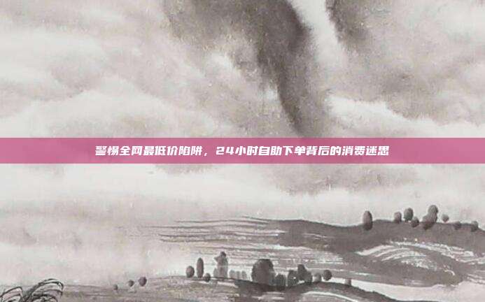 警惕全网最低价陷阱,24小时自助下单背后的消费迷思