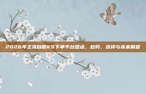 2026年主流自助KS下单平台盘点，趋势、选择与未来展望