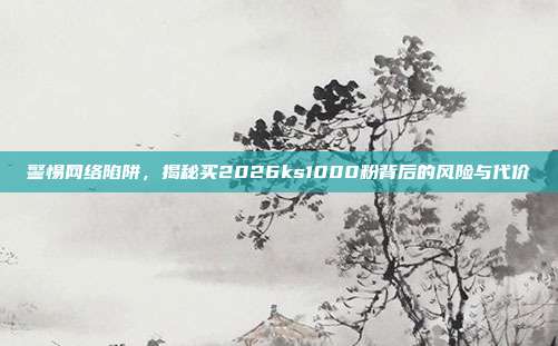 警惕网络陷阱,揭秘买2026ks1000粉背后的风险与代价