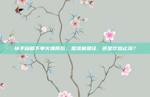 快手自助下单火爆背后，是流量捷径，还是饮鸩止渴？