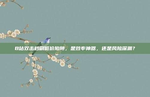 B站双击秒刷低价陷阱，是效率神器，还是风险深渊？