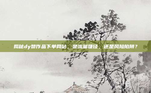 揭秘dy赞作品下单网站,是流量捷径,还是风险陷阱?
