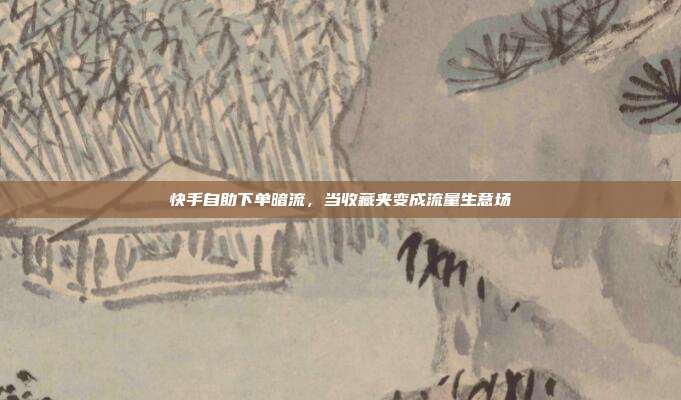 快手自助下单暗流,当收藏夹变成流量生意场