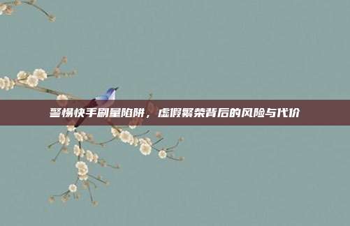 警惕快手刷量陷阱,虚假繁荣背后的风险与代价