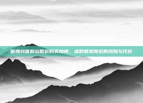 警惕抖音粉丝低价购买陷阱,虚假繁荣背后的风险与代价