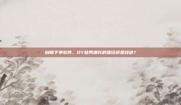自助下单软件，DY业务增长的捷径还是歧途？