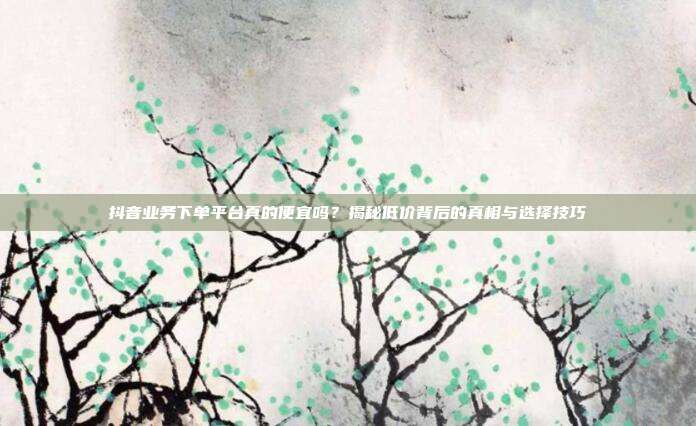 抖音业务下单平台真的便宜吗?揭秘低价背后的真相与选择技巧