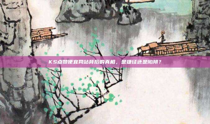 KS点赞便宜网站背后的真相，是捷径还是陷阱？