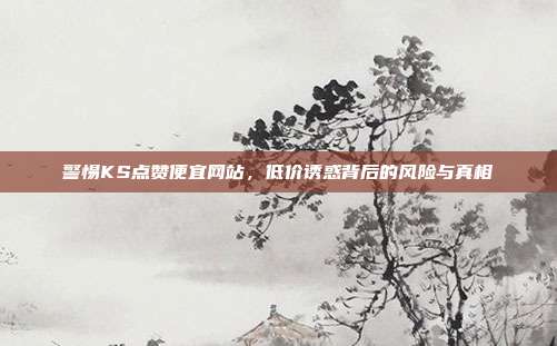 警惕KS点赞便宜网站，低价诱惑背后的风险与真相