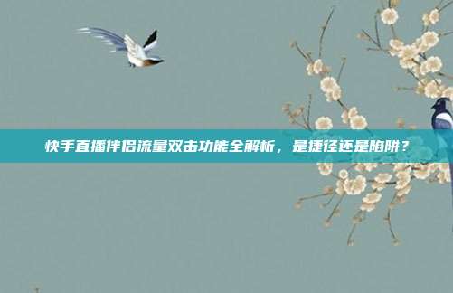 快手直播伴侣流量双击功能全解析,是捷径还是陷阱?