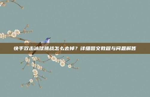 快手双击冰球挑战怎么去掉?详细图文教程与问题解答