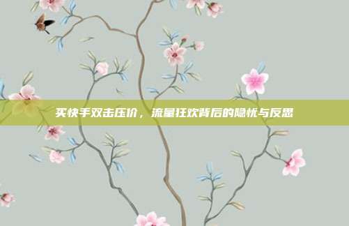 买快手双击压价,流量狂欢背后的隐忧与反思