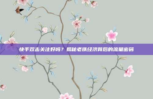 快手双击关注好吗？揭秘老铁经济背后的流量密码