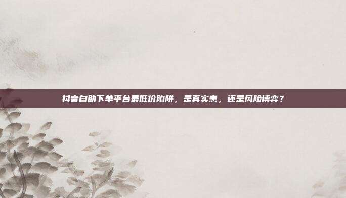 抖音自助下单平台最低价陷阱,是真实惠,还是风险博弈?