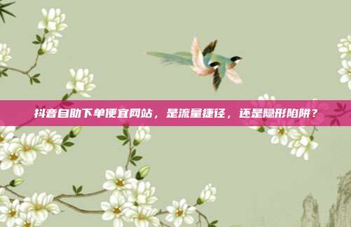 抖音自助下单便宜网站,是流量捷径,还是隐形陷阱?