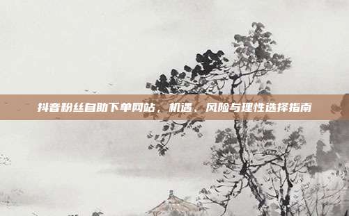 抖音粉丝自助下单网站,机遇、风险与理性选择指南