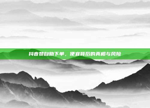 抖音赞自助下单,便宜背后的真相与风险