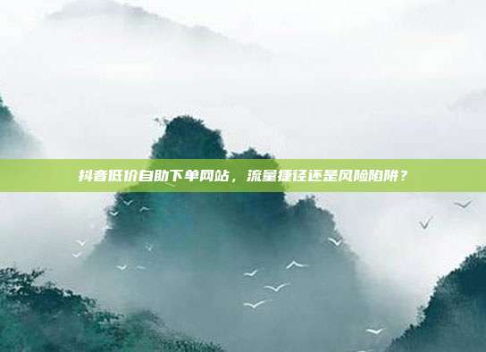 抖音低价自助下单网站,流量捷径还是风险陷阱?