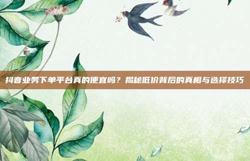 抖音业务下单平台真的便宜吗?揭秘低价背后的真相与选择技巧