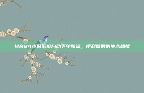 抖音24小时低价自助下单暗流，便利背后的生态隐忧