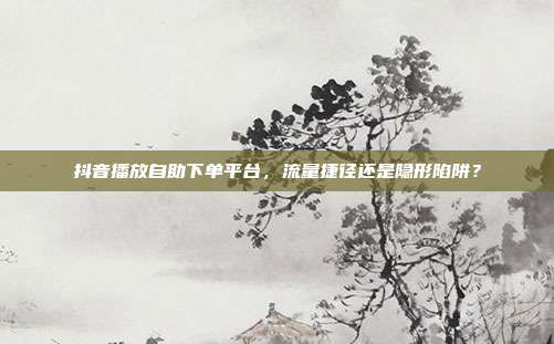 抖音播放自助下单平台,流量捷径还是隐形陷阱?