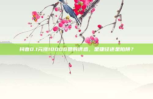 抖音0.1元涨10000赞的诱惑，是捷径还是陷阱？