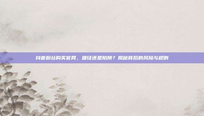 抖音粉丝购买官网，捷径还是陷阱？揭秘背后的风险与规则