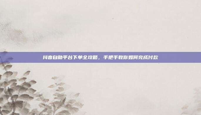 抖音自助平台下单全攻略，手把手教你如何完成付款