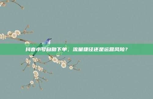 抖音小号自助下单,流量捷径还是运营风险?