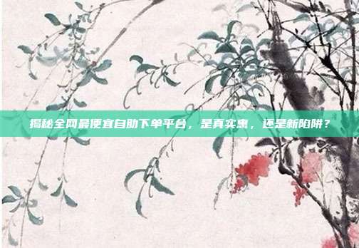 揭秘全网最便宜自助下单平台,是真实惠,还是新陷阱?