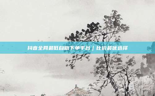 抖音全网最低自助下单平台｜比价最优选择