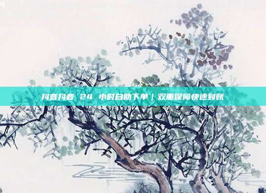 抖音抖音 24 小时自助下单｜双重保障快速到账
