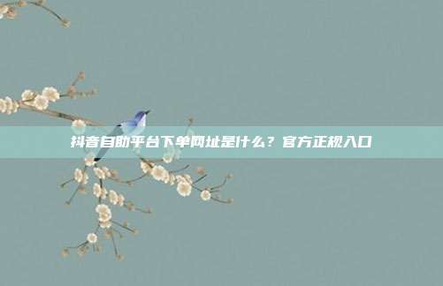 抖音自助平台下单网址是什么？官方正规入口
