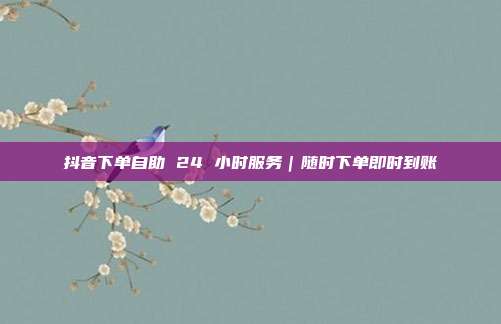 抖音下单自助 24 小时服务｜随时下单即时到账