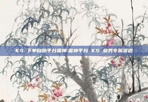 KS 下单自助平台雷神:雷神平台 KS 业务专属渠道
