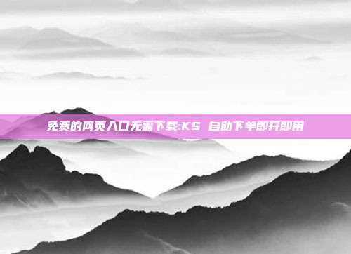 免费的网页入口无需下载:KS 自助下单即开即用