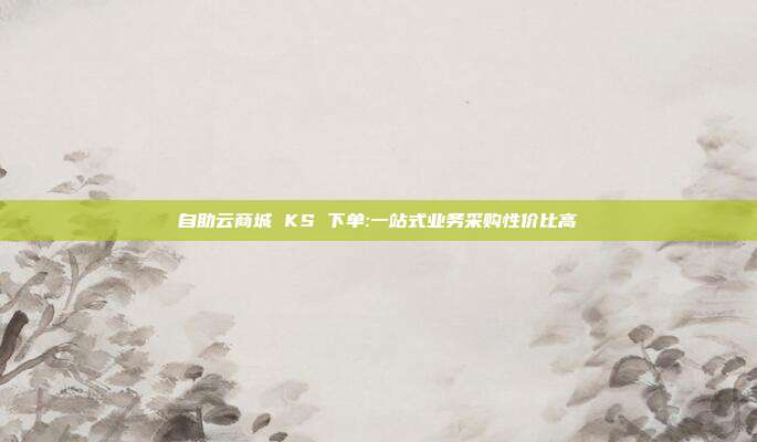 自助云商城 KS 下单:一站式业务采购性价比高