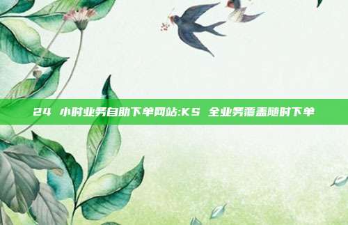24 小时业务自助下单网站:KS 全业务覆盖随时下单