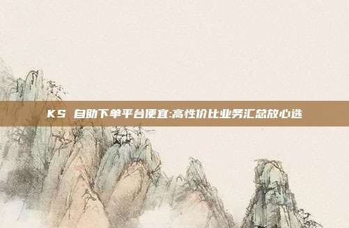 KS 自助下单平台便宜:高性价比业务汇总放心选