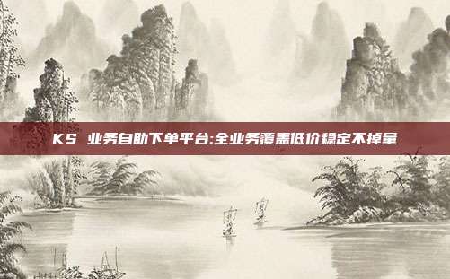 KS 业务自助下单平台:全业务覆盖低价稳定不掉量